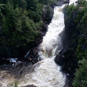 Meet your Posher, Tali